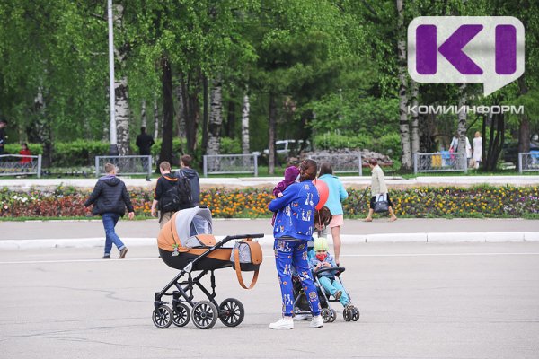 С 30 мая многодетные семьи в Коми могут обращаться за удостоверением многодетной семьи единого образца