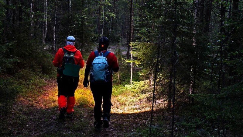 "ЛизаАлерт" обследовали более 100 км лесов и болот в поисках пропавшего в Коми Михаила Лапшина