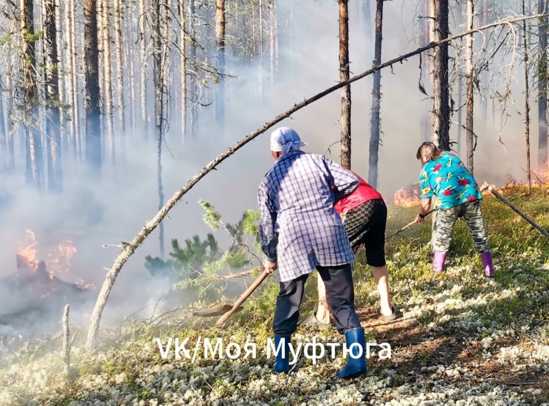 "Огонь рядом с деревней - страшно": жители Муфтюги отстояли родное поселение от лесного пожара