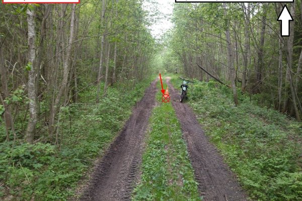 В Сыктывдинском районе в аварии пострадали юный водитель питбайка и его пассажир 