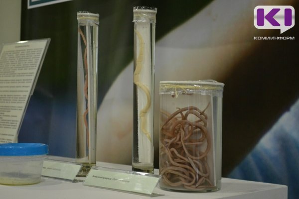 В Коми на детских площадках всё еще можно подхватить паразитов