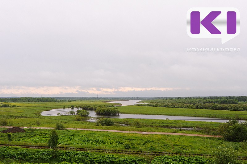 Погода в Коми 5 июня: в северных районах без существенных осадков, на крайнем юге местами гроза