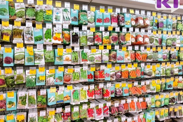 В Усинске выявили семена овощных культур, не включенных в госреестр

