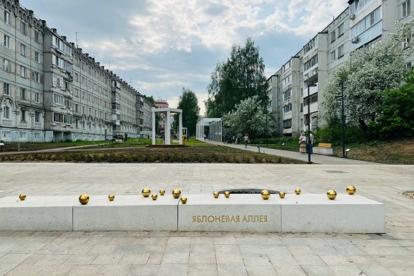 На Яблоневой аллее в Сыктывкаре не досчитались яблонь