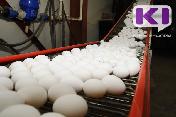 40,3 млн яиц и 10,7 тыс тонн мяса: производство сельхозпродукции в Коми выросло на 7,7%