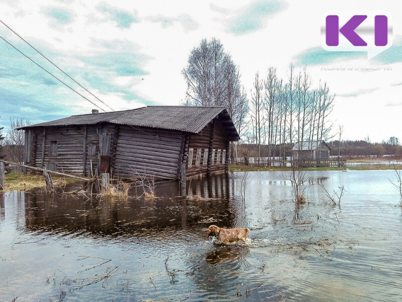 На реке Печоре в Ижме уровень воды превысил неблагоприятную отметку 