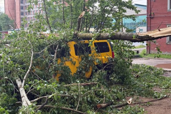 Поваленные деревья и затопленные улицы: как Сыктывкар пережил удар стихии