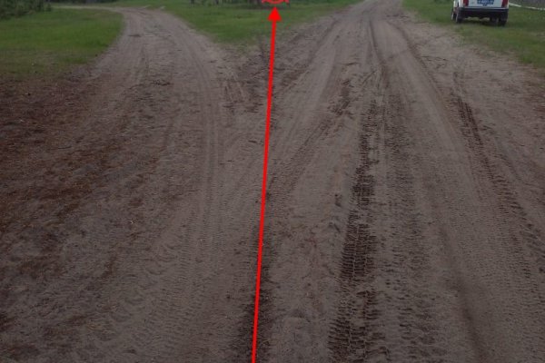 В Ижме юный водитель питбайка попал в больницу с ушибом спины  