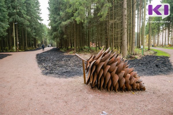 В День России и День города сыктывкарцев ждут активности в Беличьем парке