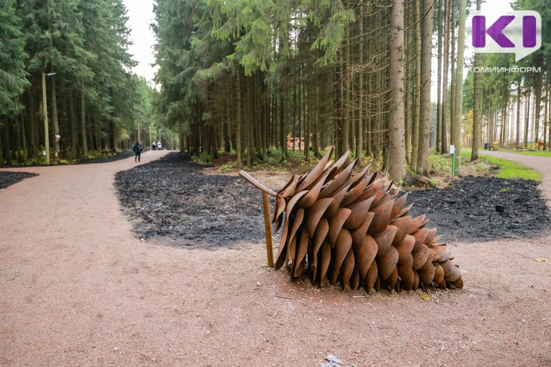 В День России и День города сыктывкарцев ждут активности в Беличьем парке