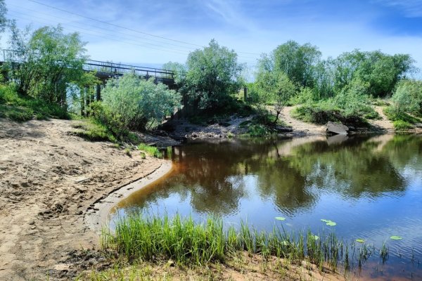 Минприроды Коми провело обследование озера Выльты в Краснозатонском
