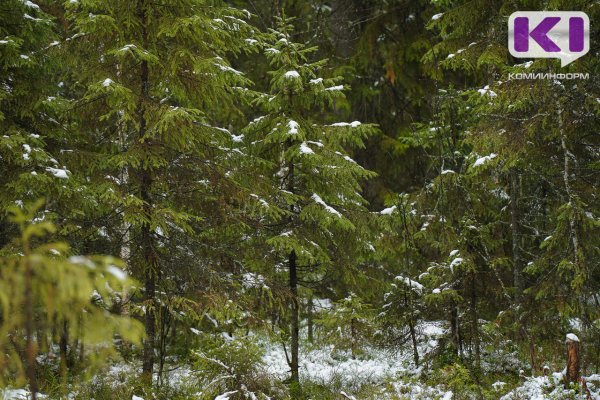 Выслушал приговор житель Ухты, который приобрел наркотики для личного употребления и рассказал об этом полиции