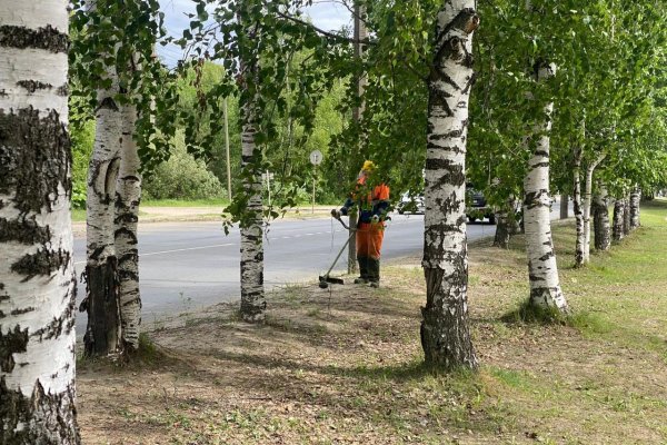 Покос травы: сыктывкарское предприятие 