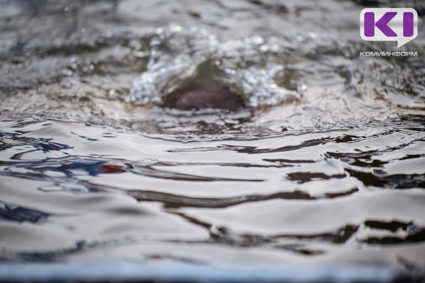 За полгода жертвами водоемов в Коми стали 18 человек