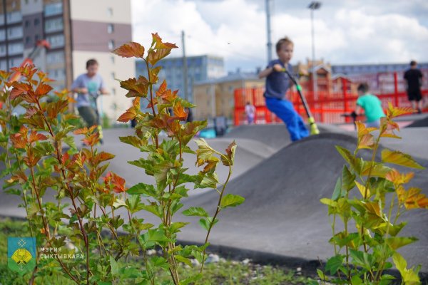 На территории скейт-парка в сыктывкарской Орбите идет озеленение