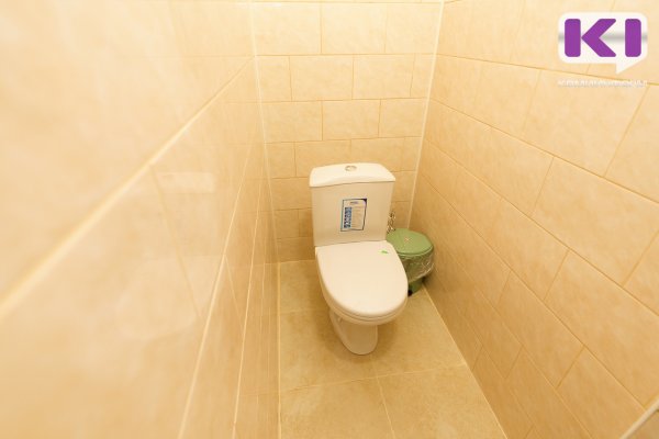 Жительница Усть-Вымского района нашла в унитазе бара сотовый телефон и украла его