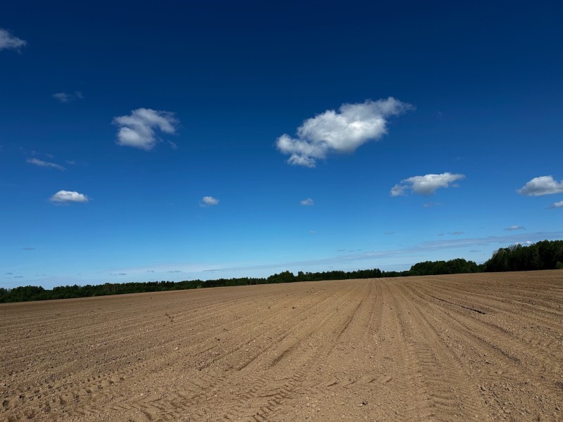 Хозяйства Коми завершили яровой сев и приступили к заготовке кормов