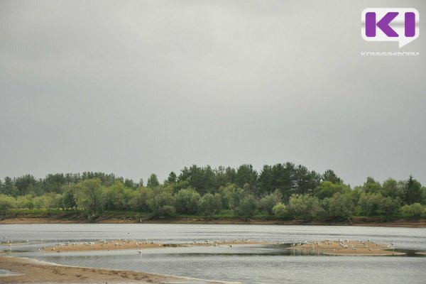 Тело пропавшего в Сыктывдине пенсионера нашли в Усть-Вымском районе 