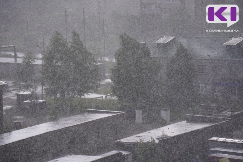 В Сыктывкаре 14 раз прошли кислотные дожди 