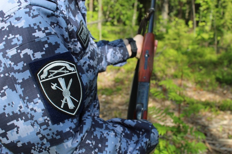 В Коми выявлено 10 правонарушений в области оборота оружия за неделю