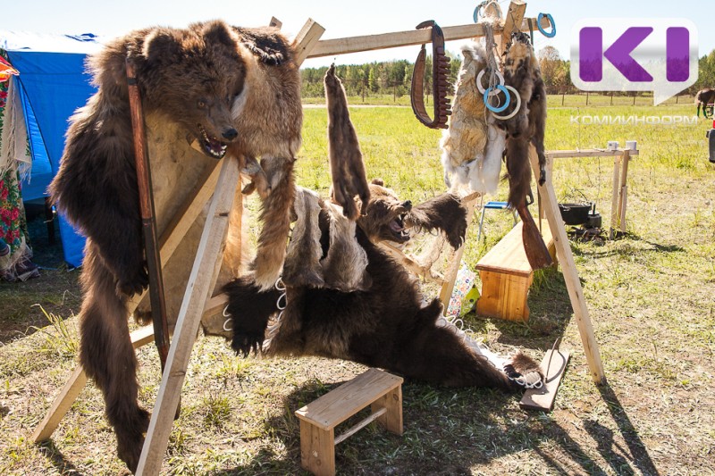 В Коми на 131 особь бурого медведя стало меньше 