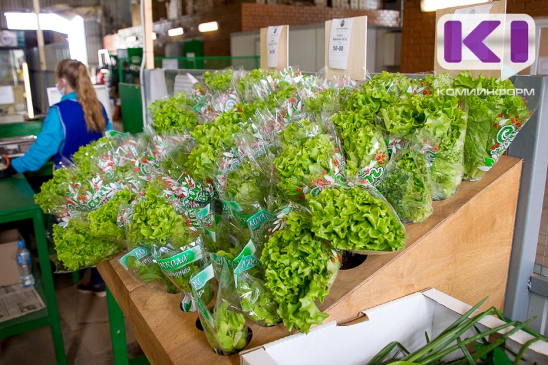 Почти 200 кг плодоовощной продукции снято с продажи в Коми после проверок