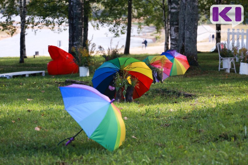 Погода в Коми 17 июля: небольшой дождь, +15°С