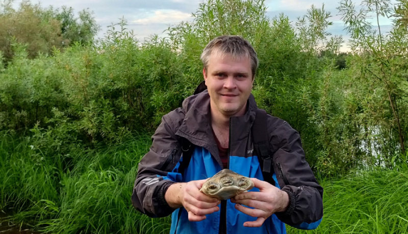 В Сыктывкаре на затопленной дороге нашли экзотическую черепаху