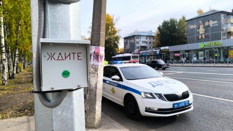 В Сыктывкаре у четырех школ установят светофор с кнопкой
