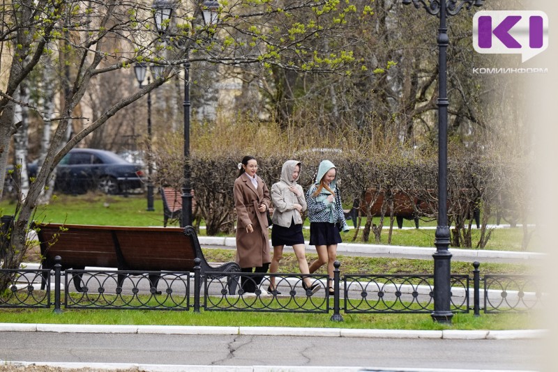 Погода в Коми 20 июля: местами кратковременный дождь, гроза