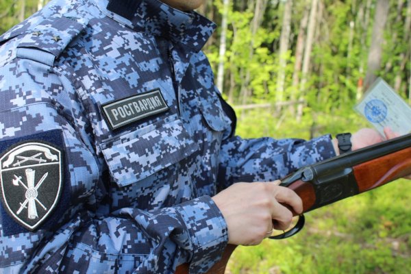 Житель Сыктывкара привлечен к административной ответственности за утерю оружия на реке