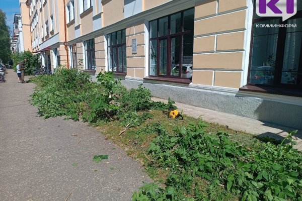 Бензопила вместо секатора: 