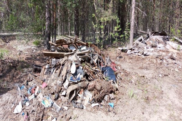 В п.Мещура Княжпогостского района убрали огромную свалку