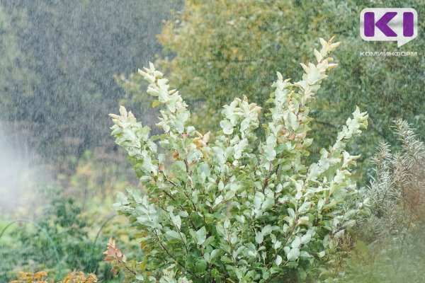 В нескольких районах Коми пройдет сильный дождь