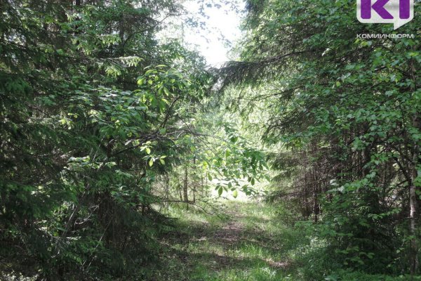 В Коми появится новый природный заказник республиканского значения 