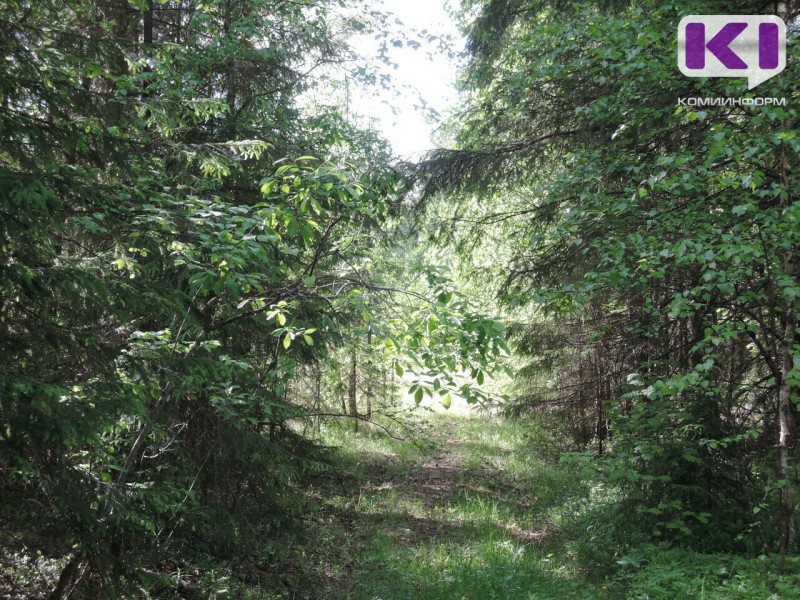 В Коми появится новый природный заказник республиканского значения "Очьпарма"