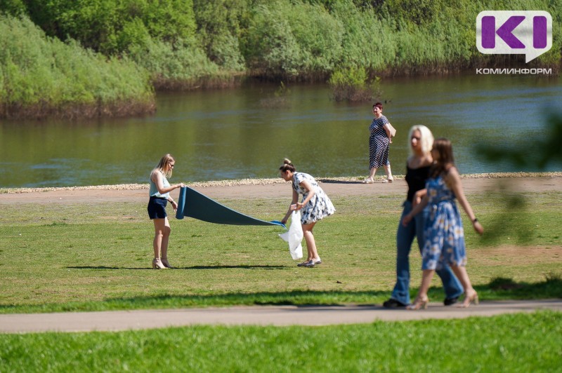 Погода в Коми 28 июля: местами дождь, гроза, +20...+25°С