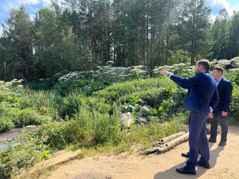 Свалки и спорные лесные территории: Минприроды на местах решает вопросы жителей﻿