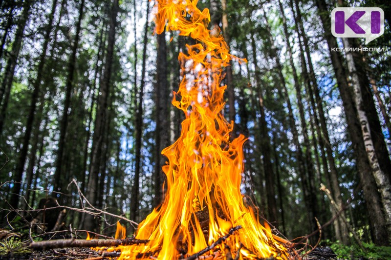 На прошлой неделе леса в Коми горели четыре раза
