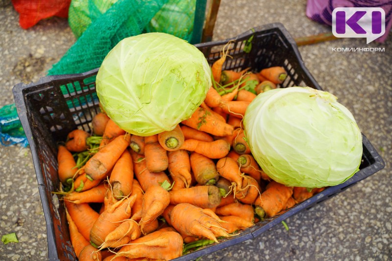 К сыктывкарцам с просьбой о передаче продуктов обратились волонтеры проекта "Сытый гражданин"