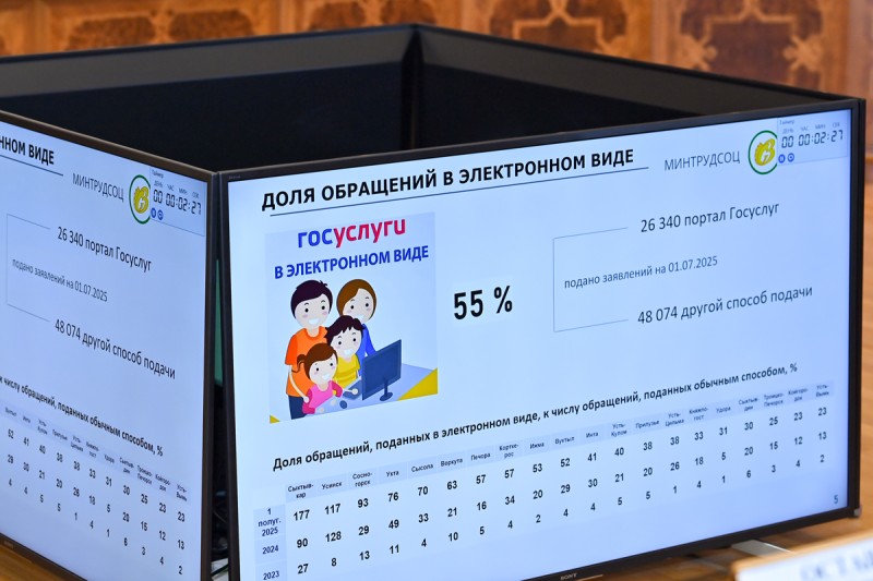 Ростислав Гольдштейн поручил обеспечить стабильный интернет во всех учреждениях соцзащиты Коми