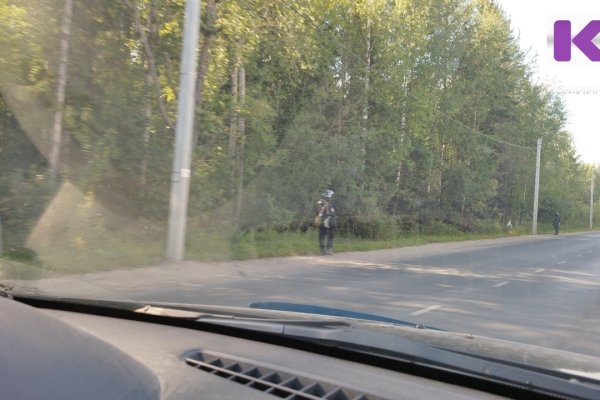 Жителей Сыктывкара удивило скопление полицейских на улице Лесопарковой 