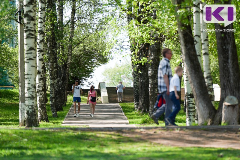 Погода в Коми 31 июля: столбик термометра поднимется до +28°С