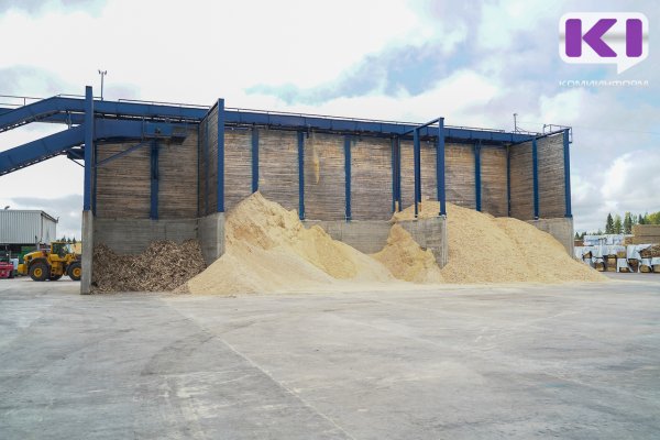 В лесопромышленном комплексе Коми наблюдается рост объемов производства