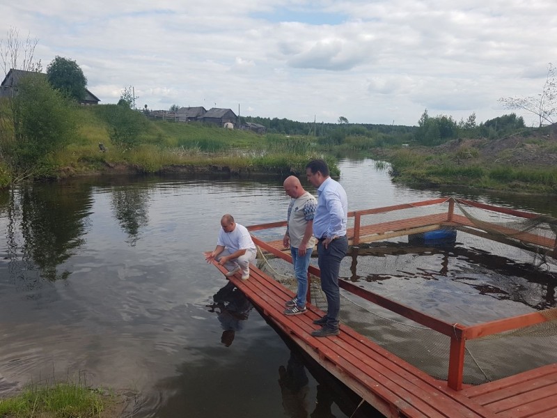 Фермер из Прилузья планирует создать агротуристический комплекс