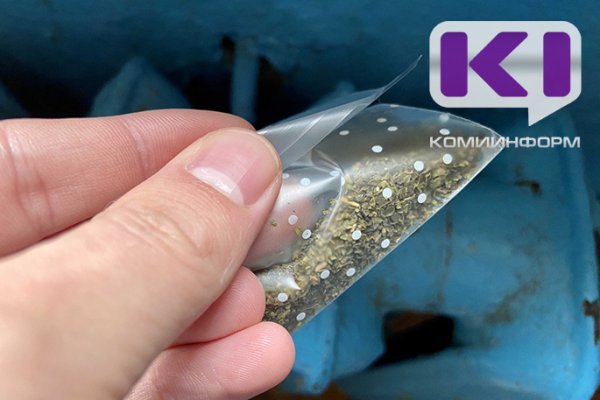 Житель Микуня обвиняется в склонении четырех девушек-подростков к употреблению наркотиков