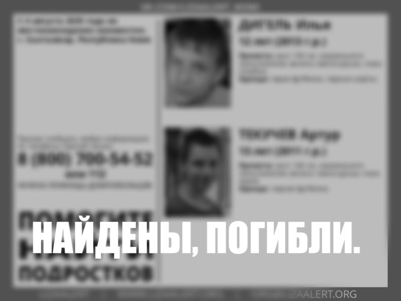 Пропавшие под Сыктывкаром подростки найдены погибшими