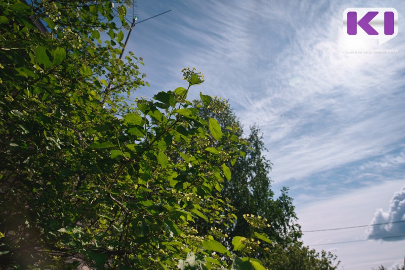 Погода в Коми 8 августа: преимущественно без осадков, на юго-западе кратковременный дождь, местами гроза