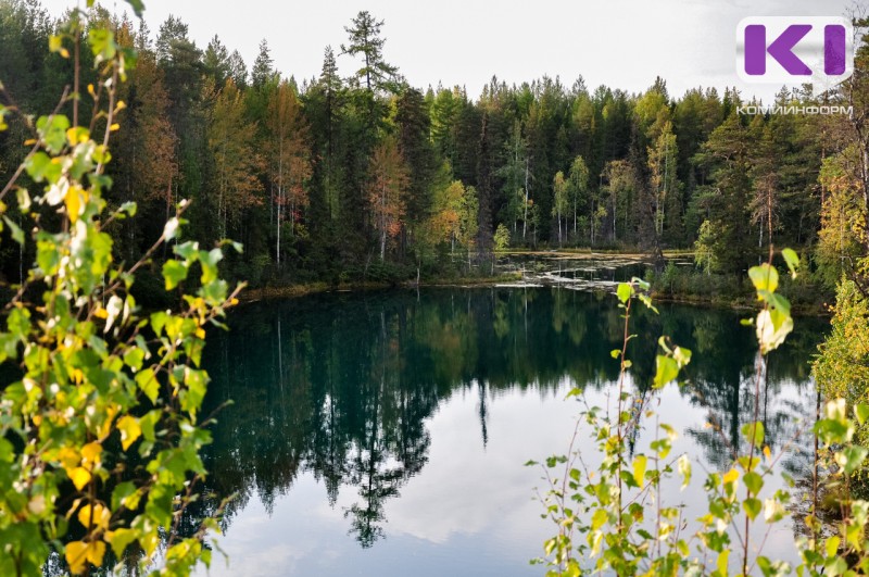 На Параськиных озерах в Ухте обнаружено тело ребенка 