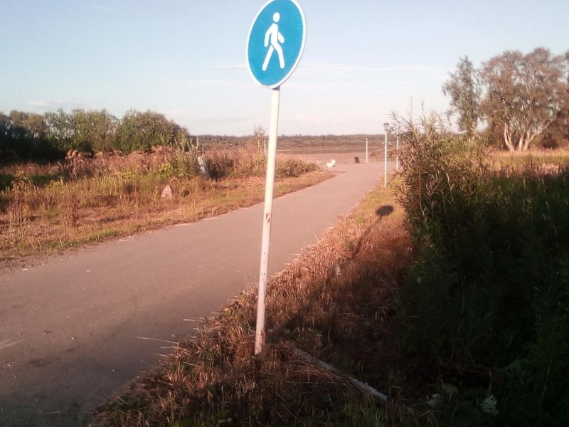 В Троицко-Печорске "реанимировали" фонарный столб благодаря неравнодушию местной жительницы